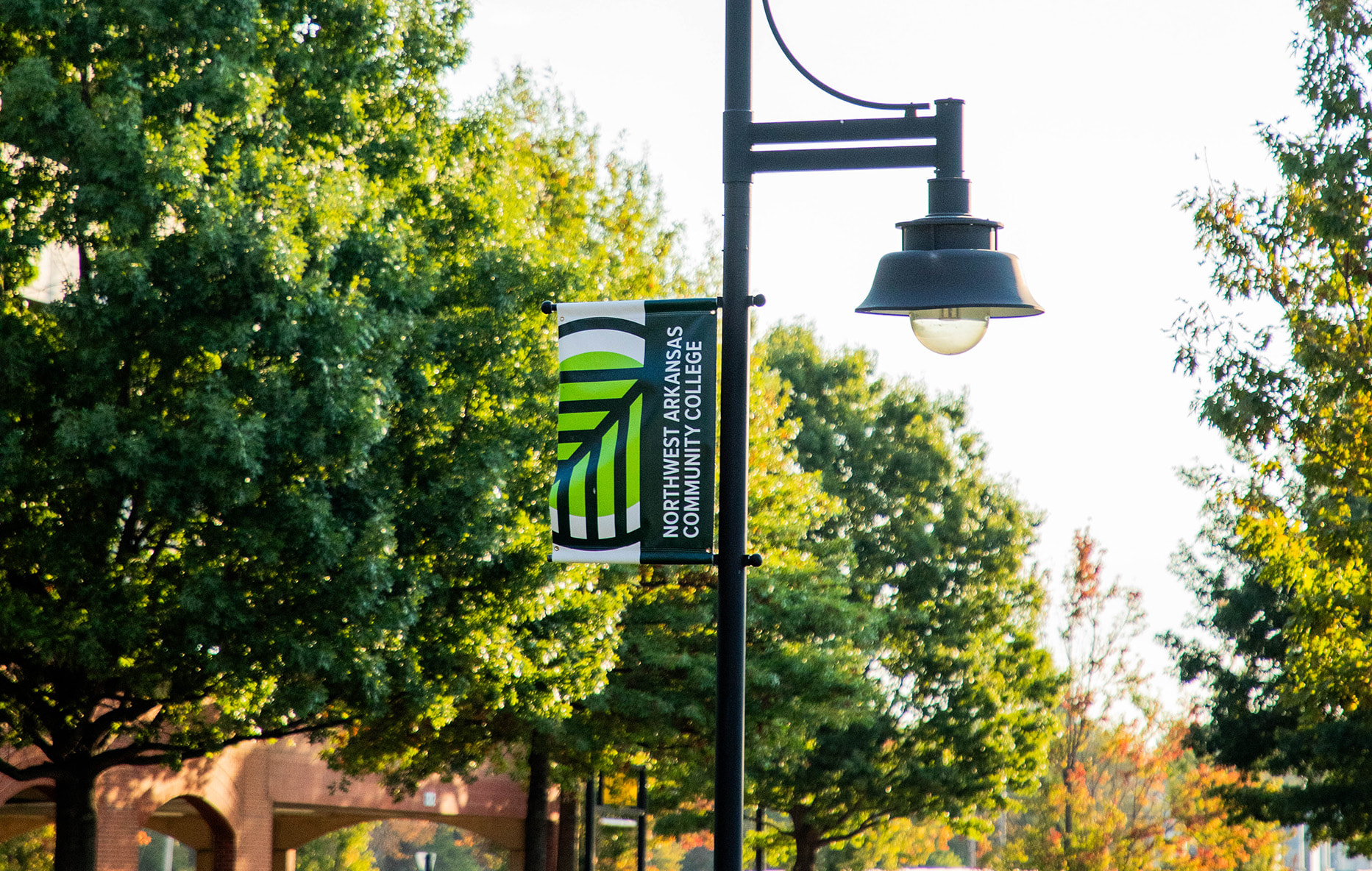 Banner and Light Post