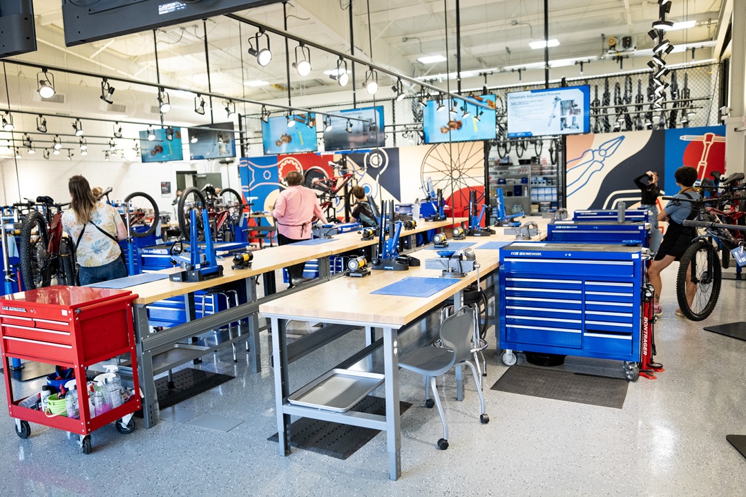 Bicycle Technician Image