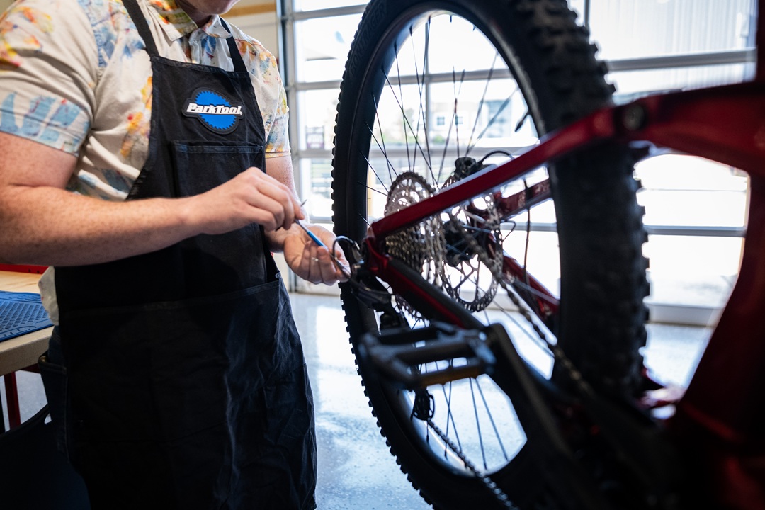 Bicycle Technician Image