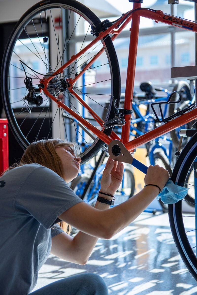 Bicycle Technician Image